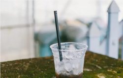 Biodegradable Drinking Straws: Features and Applications