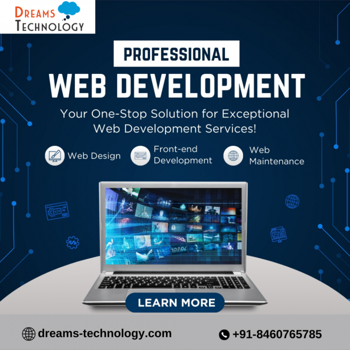 Custom Web Development Services Company