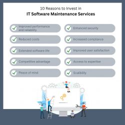 10 Reasons to Invest in IT Software Maintenance Services