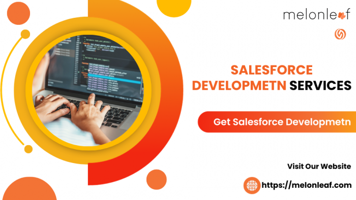 Salesforce Development Services | Melonleaf