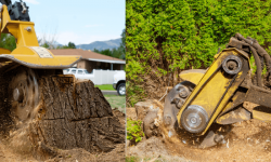 Stump Grinding Services In Los Angeles, CA