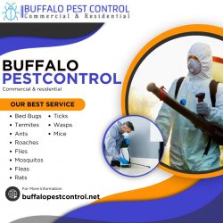 Finding Experts for Pest Control In Buffalo, NY