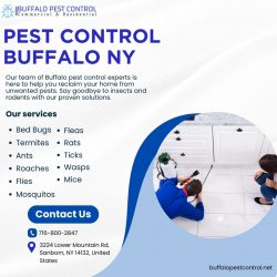 Professional Pest Control in Buffalo