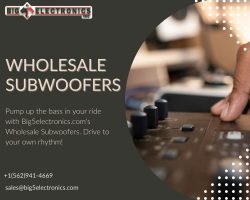 Wide collection of high-quality wholesale subwoofers available at Big5electronics.com
