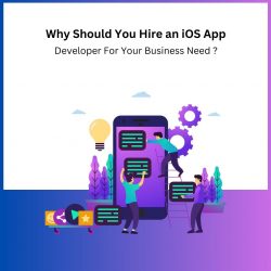Why Should You Hire an iOS App Developer for your business need