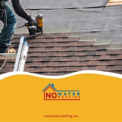 Stay Ahead of the Game: The Latest Trends in Edmonton Commercial Roofing Companies