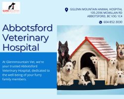 Abbotsford Veterinary Hospital is comfortable so pets can relax