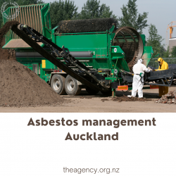 Asbestos Management in New Zealand: An Asbestos Survey