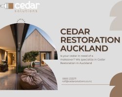 Get in touch with our senior team for long-lasting Cedar restoration Auckland