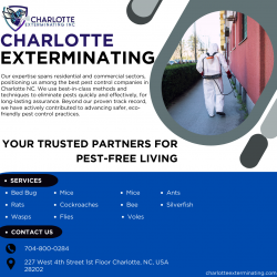 Effective Charlotte Pest Control: Exterminator Services in NC