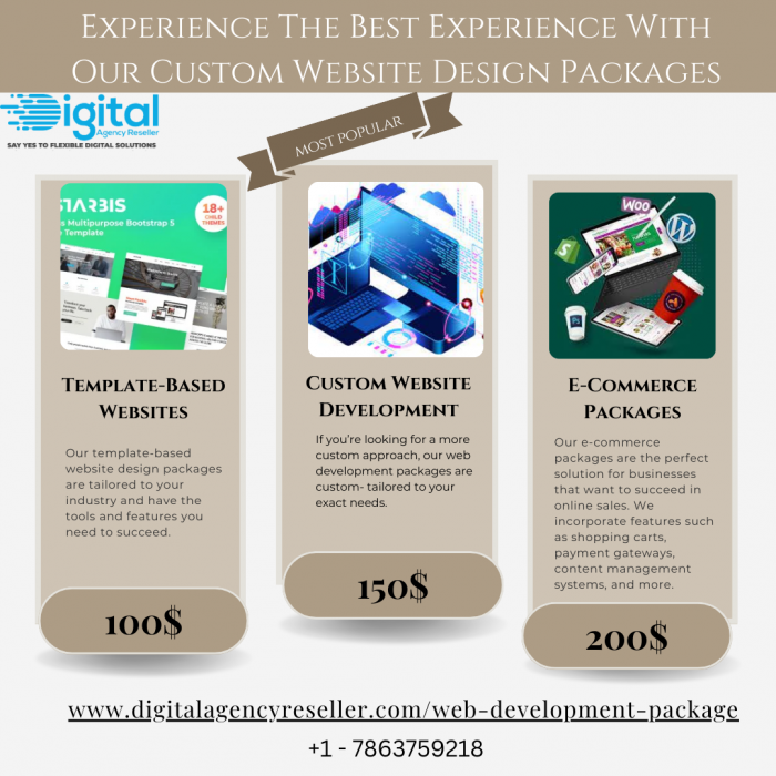 Empower Your Online Presence with Our Website Development Packages