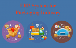 How ERP System for the Packaging Industry Helps Drive Growth?