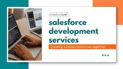 salesforce development services