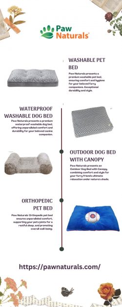 Ceramic dog food bowls | Paw Naturals