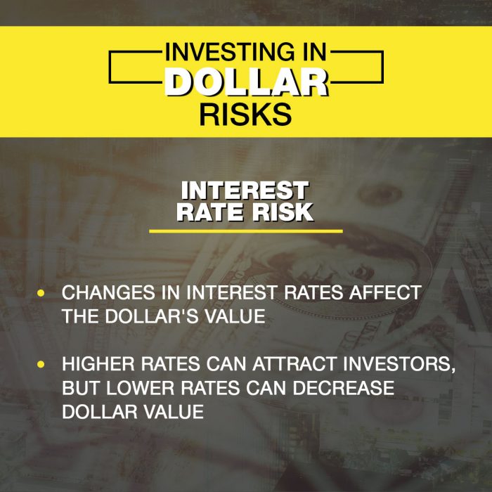 Interest Rate Risk