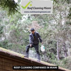 Bringing Out the Obscured Costs of Roof Cleaning