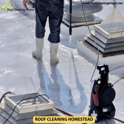 Transforming Your Living Space: 5 Benefits of Soft Wash Roof Cleaning