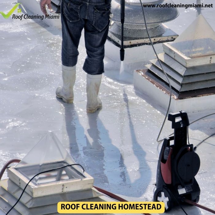 Transforming Your Living Space: 5 Benefits of Soft Wash Roof Cleaning