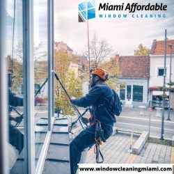Setting the Standard: Window Cleaning Services at the Top