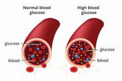 Dr Oz CBD Gummies For Blood Sugar: Is Weight Loss Diet Supplement Works?