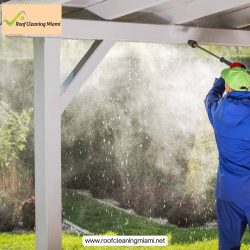 The Real Deal: Debunking Myths Surrounding Soft Wash Roof Cleaning