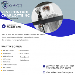 Best Mice Exterminator in Charlotte Nc