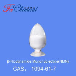 Food Grade β-Nicotinamide Mononucleotide(β-NMN) CAS NO. 1094-61-7