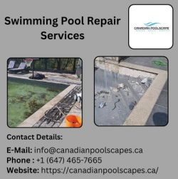 Affordable Swimming Pool Repair Services In GTA