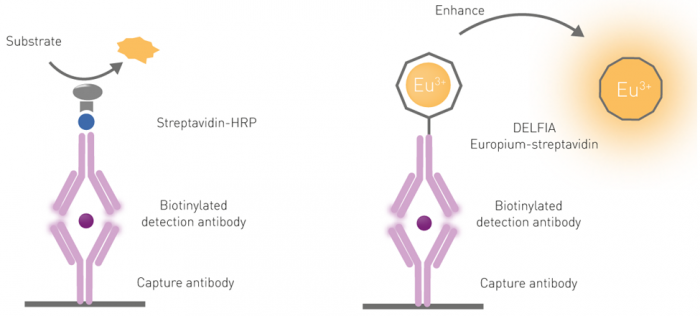 Fluorescence immunoassay (FIA)