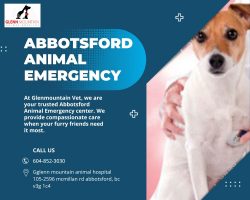 Our staff are trained at Abbotsford Animal Emergency
