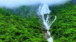 Enjoy Dudhsagar Waterfall Online Ticket Booking