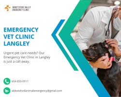 State-of-the-Art Emergency Vet Clinic in Langley