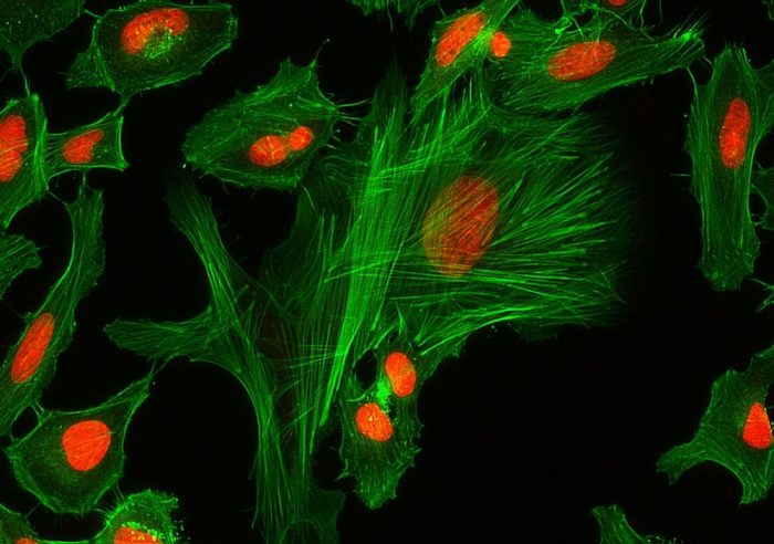 Classification and application of fluorescent dyes