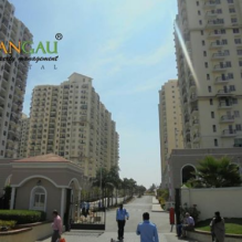 Searching to Apartment for Rent in Bangalore