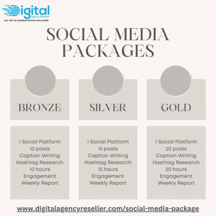 Social Media Marketing Plan – Digital Agency Reseller