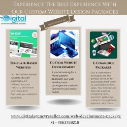 Affordable Website Design and Development Packages for Businesses