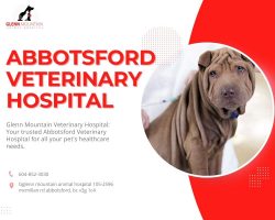 Abbotsford Veterinary Hospital is comfortable so pets can relax