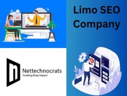 Nettechnocrats – Using SEO Mastery To Drive Success For Limousine Companies