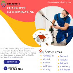 Ant Pest Control Services in Charlotte