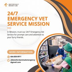 Round-the-Clock 24/7 Emergency Vet Service in Mission