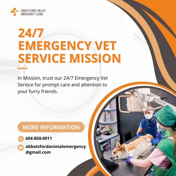 Round-the-Clock 24/7 Emergency Vet Service in Mission