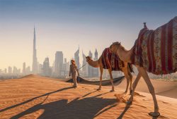 Indulge in the Finer Things: Cheap Holidays to Dubai