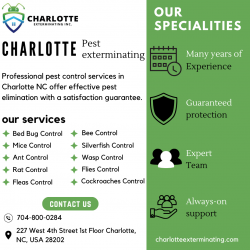 Best Pest Control in Charlotte, NC with Expert Exterminator