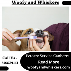 Petcare Service Canberra