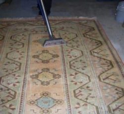 Best Carpet Cleaning Westchester NY