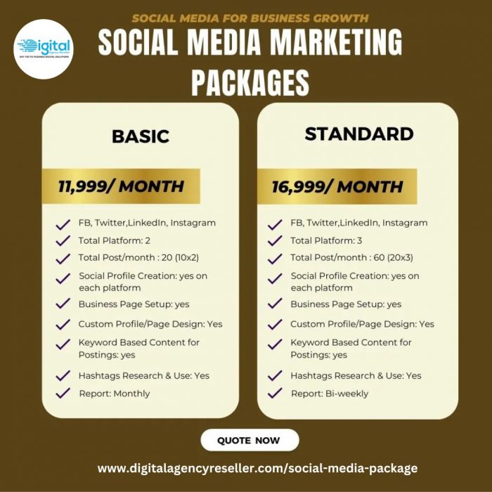 Unlock Your Brand’s Potential: Explore Our Social Media Marketing Packages!