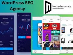 Professional WordPress SEO Services From Nettechnocrats – Your Path To Digital Prominence