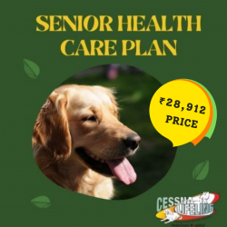 Senior Dogs Health Care Plan