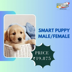 Smart Puppy Male/Female Dog Health Care Plan