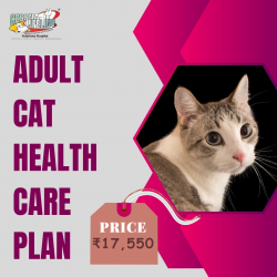 Adult Cats Healthcare Plan